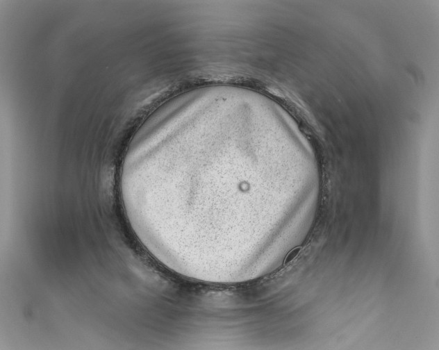 X0000111040066200907161353