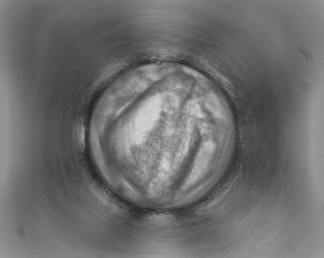 X0000111040067200907161353