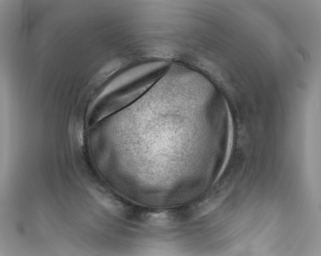 X0000111040068200907161353