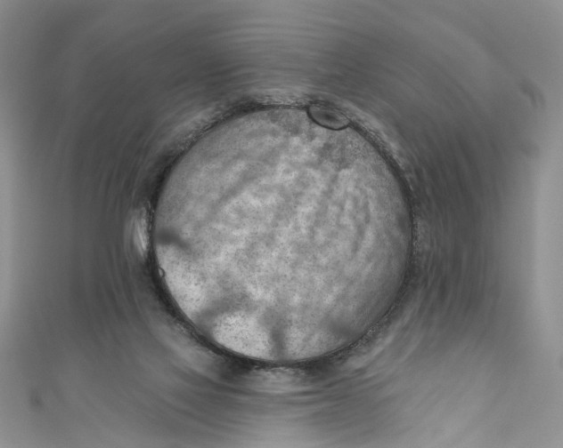 X0000111040069200907161353