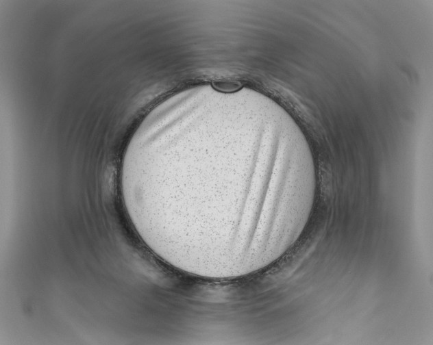 X0000111040071200907161353