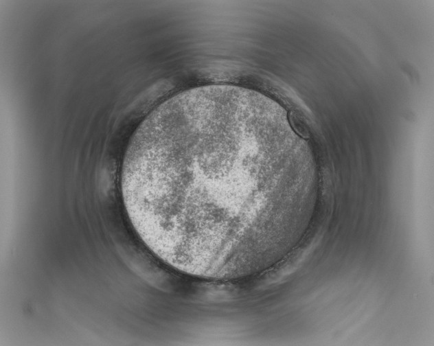 X0000111040073200907161353