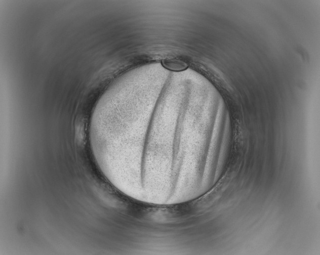 X0000111040074200907161353