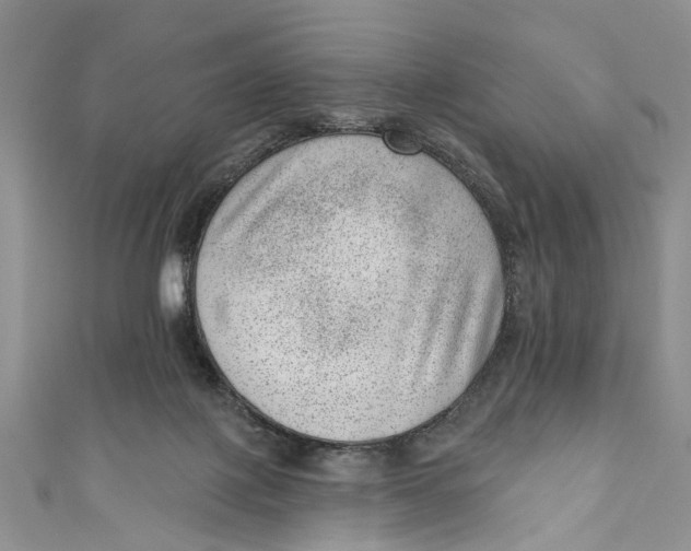 X0000111040075200907161353