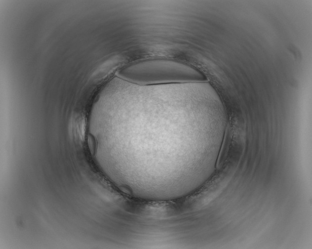 X0000111040076200907161353