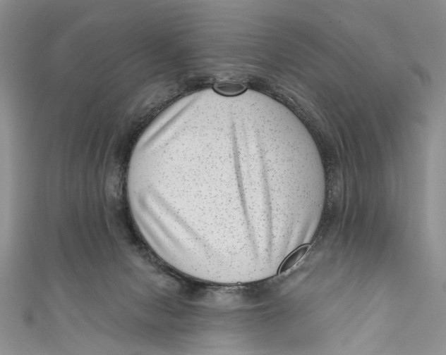 X0000111040078200907161353