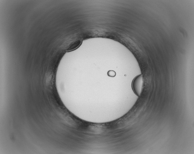 X0000111040079200907161353