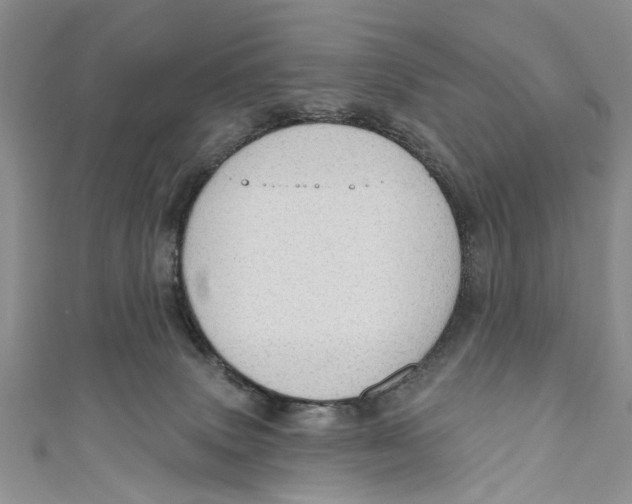 X0000111040083200907161353