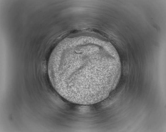 X0000111040085200907161353