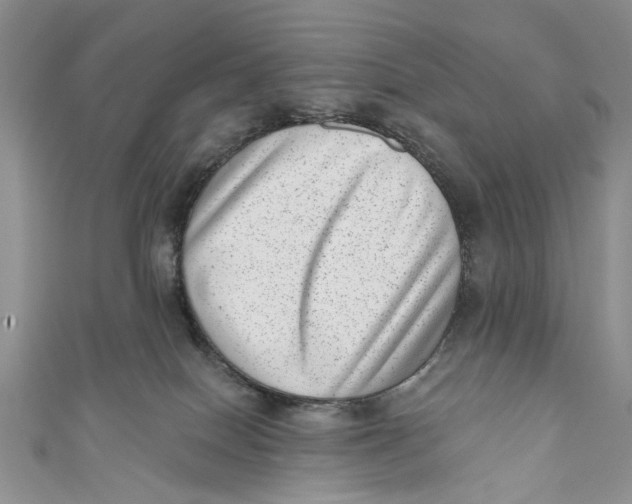 X0000111040086200907161353