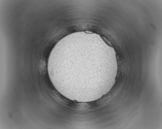 X0000111040087200907161353