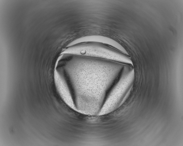 X0000111040088200907161353