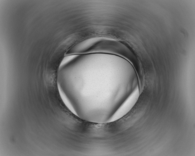 X0000111040092200907161353