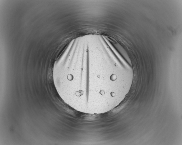 X0000111040096200907161353