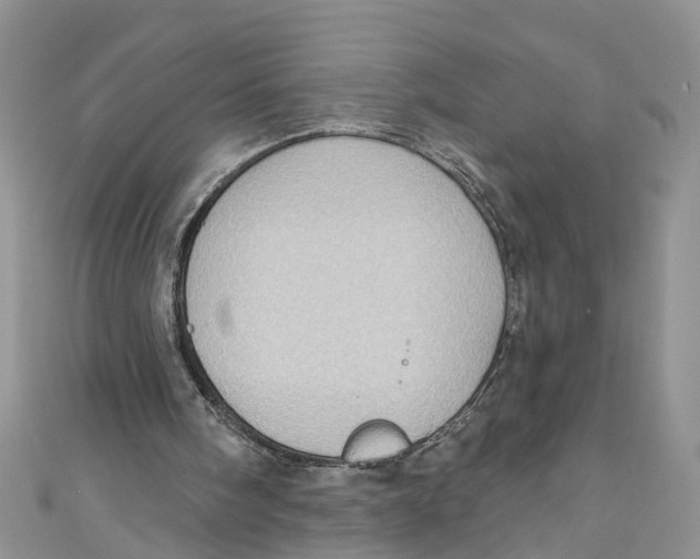 X0000111040098200907161353