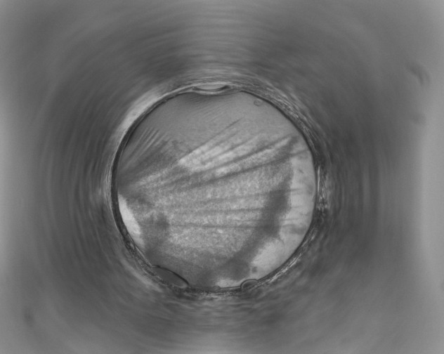 X0000111040099200907161353