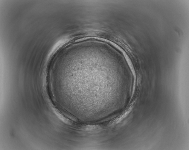 X0000111040101200907161353