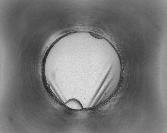 X0000111040103200907161353