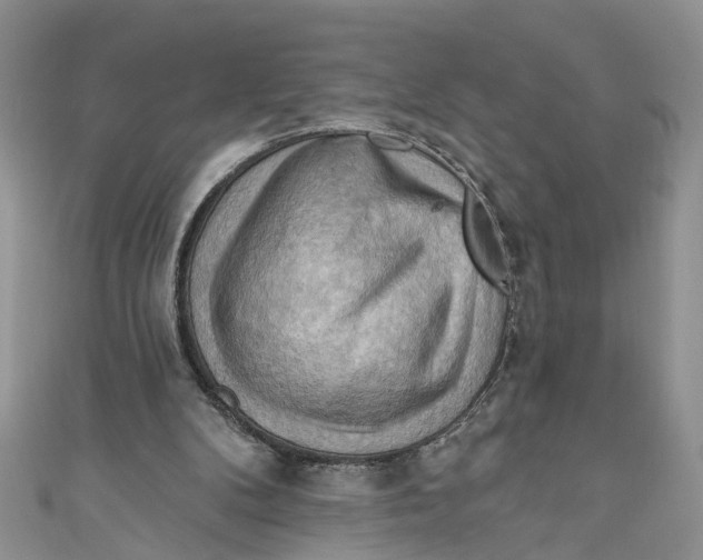 X0000111040104200907161353