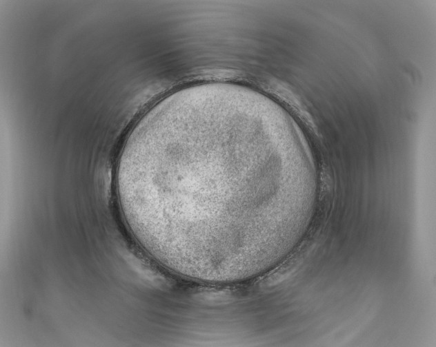 X0000111040110200907161353