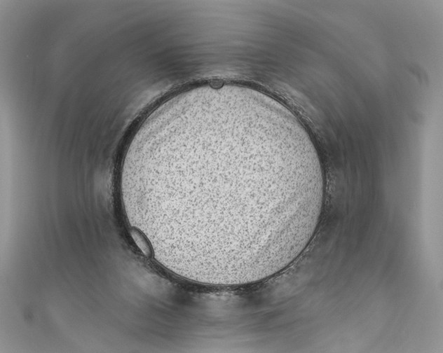 X0000111040112200907161353