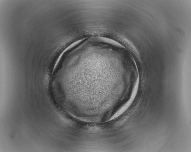 X0000111040113200907161352