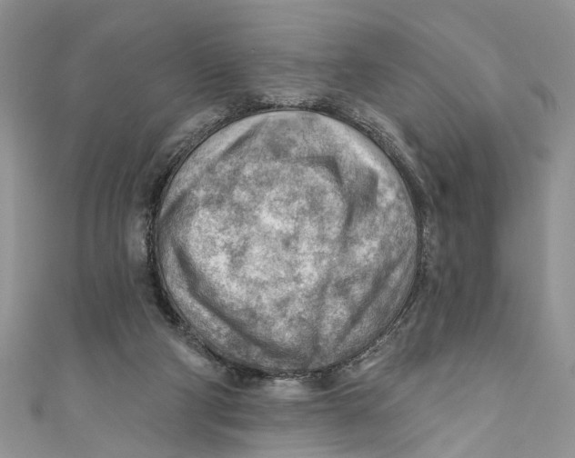 X0000111040114200907161352