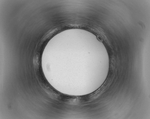 X0000111040116200907161352