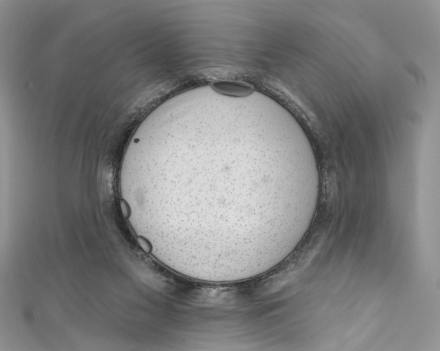 X0000111040117200907161352