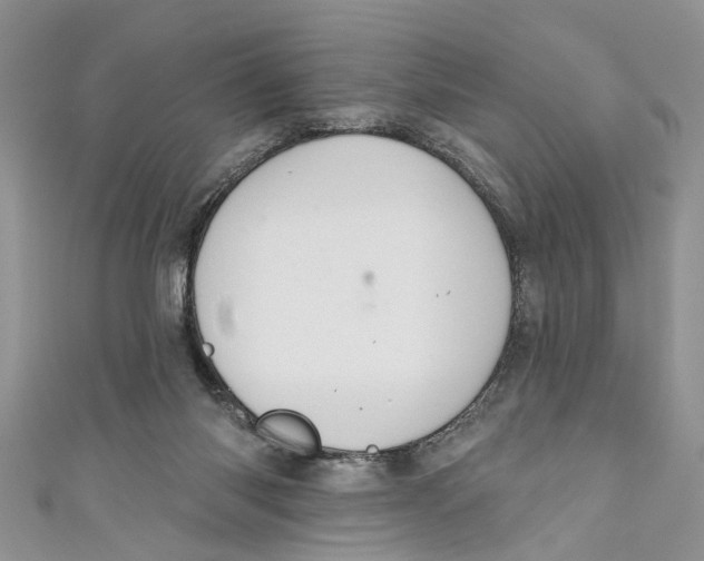 X0000111040118200907161352