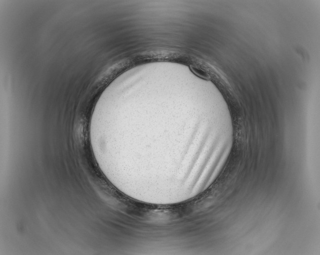 X0000111040119200907161352