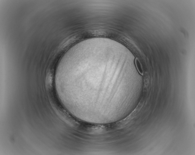 X0000111040124200907161352