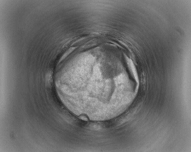 X0000111040127200907161352