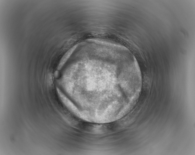 X0000111040130200907161352