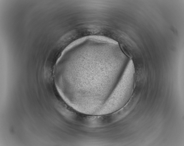 X0000111040136200907161352