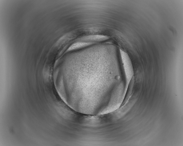 X0000111040140200907161352