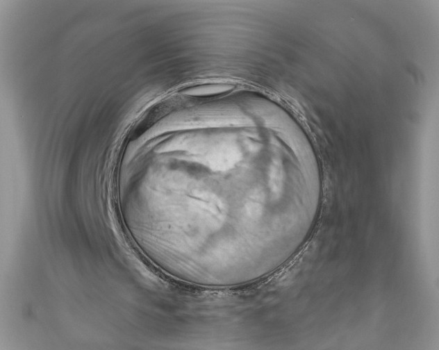 X0000111040145200907161351