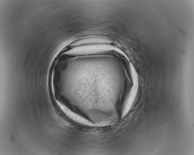 X0000111040148200907161352