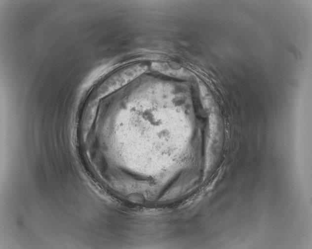 X0000111040149200907161352