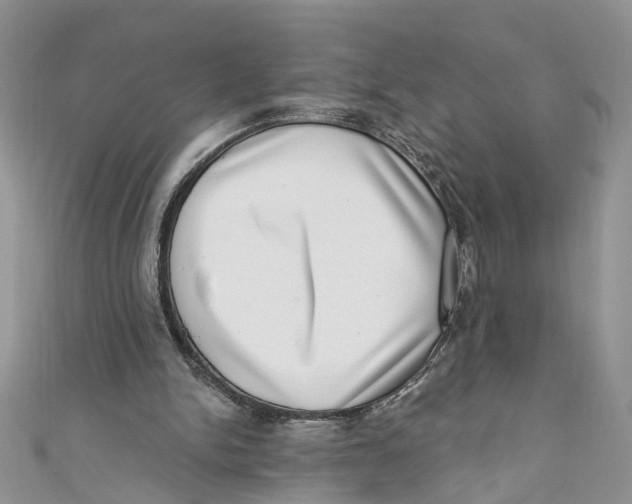 X0000111040150200907161352