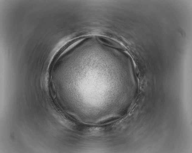 X0000111040152200907161352