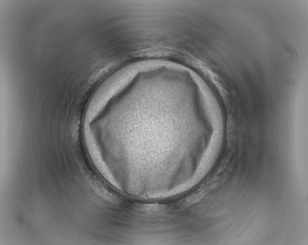 X0000111040153200907161352