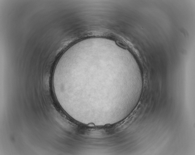 X0000111040154200907161352