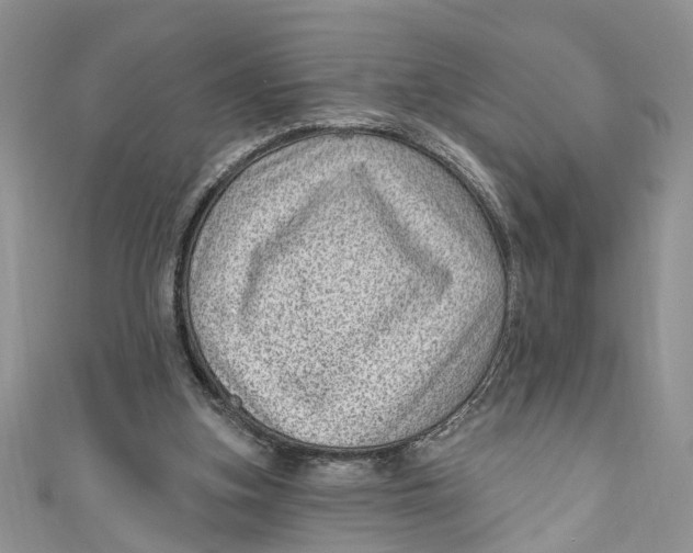 X0000111040155200907161352