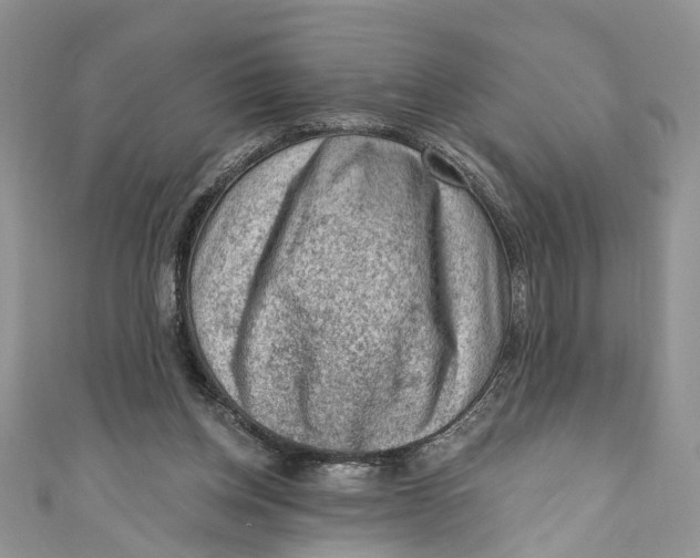 X0000111040158200907161352