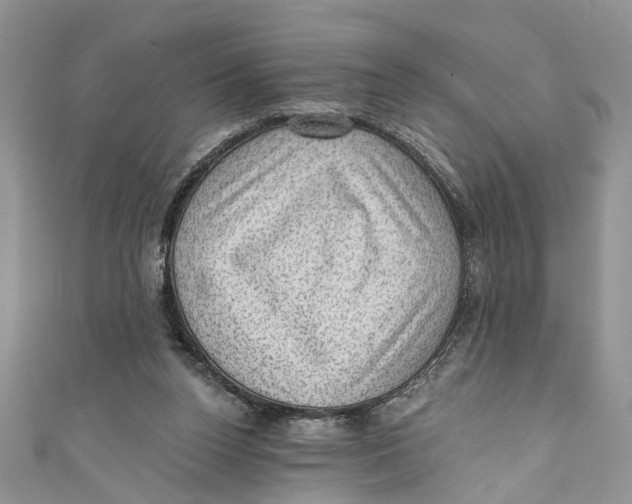 X0000111040160200907161352