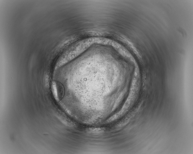 X0000111040161200907161352