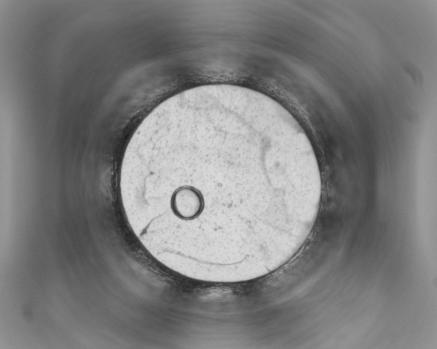 X0000111040162200907161352