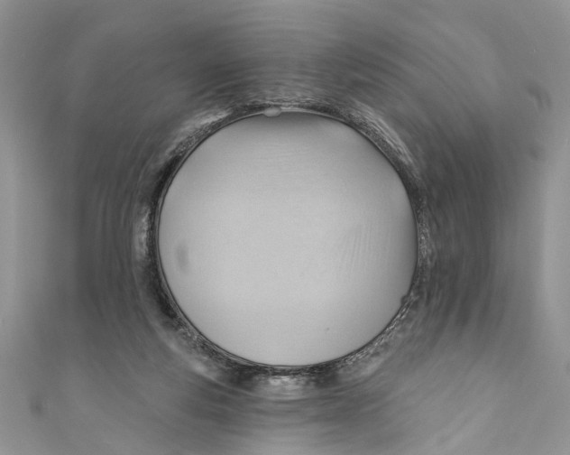 X0000111040163200907161352