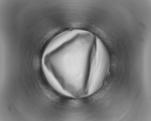 X0000111040164200907161352